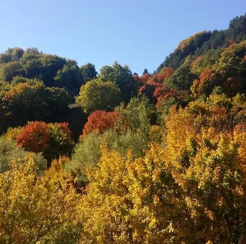 Oda ve Kahvaltı Il Ghiro